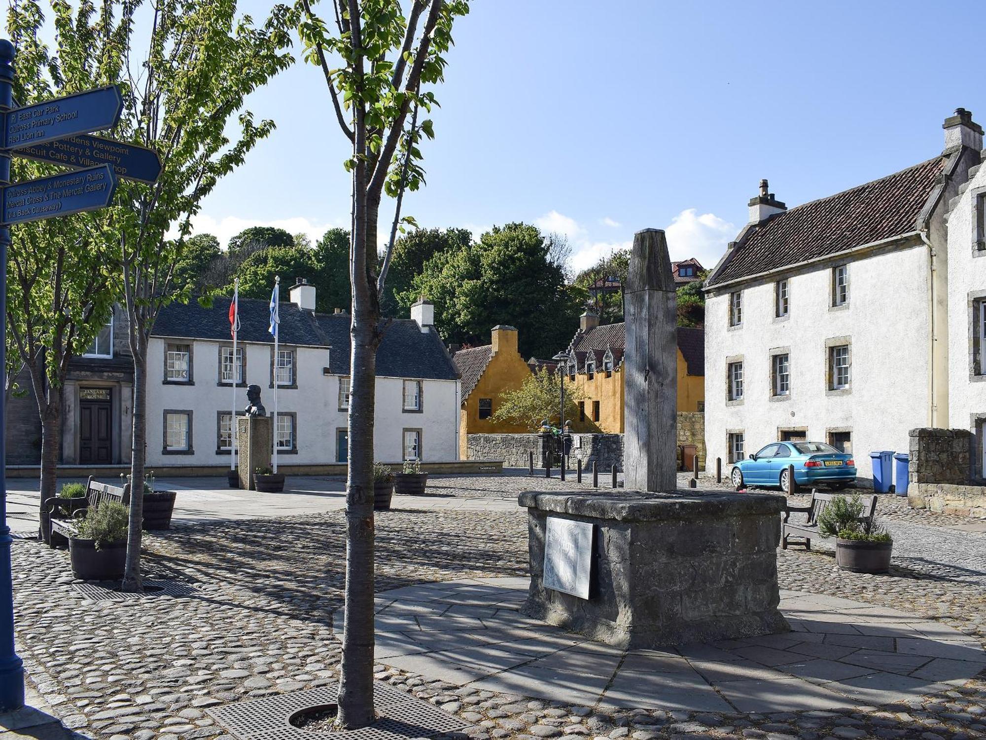 Lime Tree Oakley (Fife)